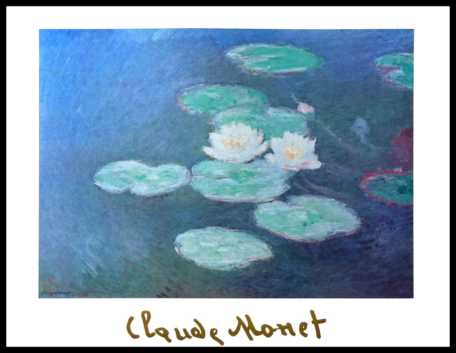 EGIM MONET-262